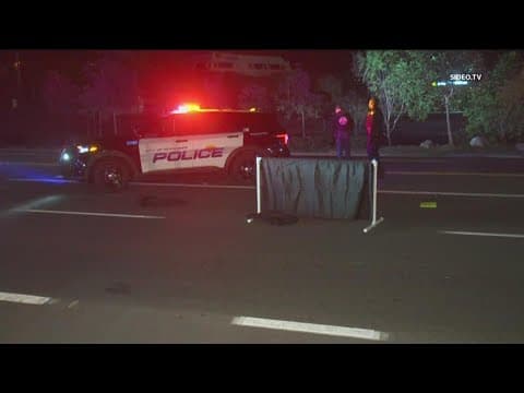 2 pedestrians hit and killed by car in Oceanside