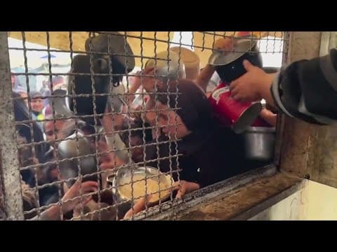 World Food Programme warns starving conditions on Gaza Strip.