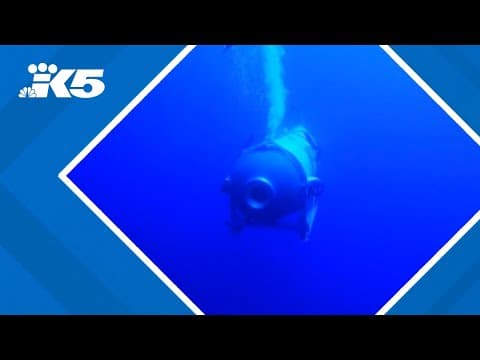 Coast Guard investigation says Oceangate CEO to blame for submersible implosion