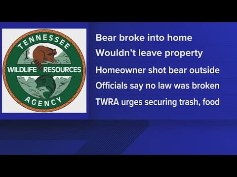 TWRA: Elderly man kills bear with shotgun after it broke into his Sevierville home