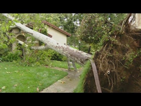 After the storm | San Diego begins cleanup after Tropical Storm Hilary