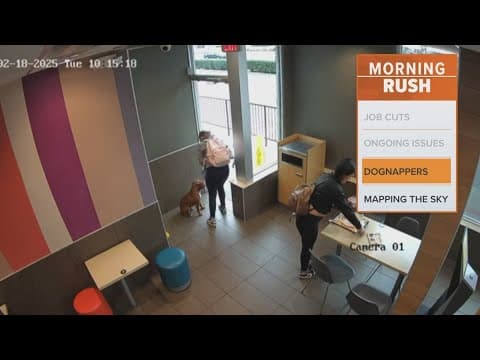 Two women accused of stealing dog arrested