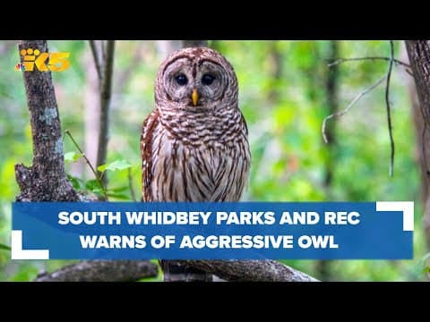 South Whidbey Parks and Rec warning of aggressive owl