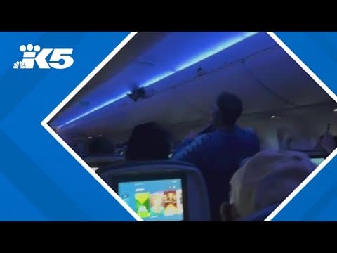 Two pigeons delay Delta flight