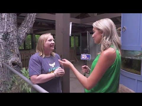 Ijams offers fun in the sun and under the stars!