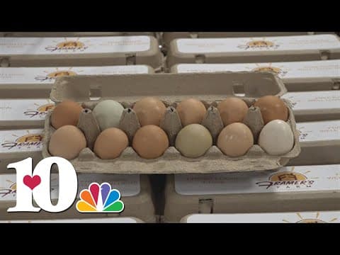 Blount Co. farm donates over 200 dozen eggs