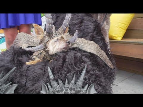 Helen Woodward Animal Center holding annual PAWmicon on July 17