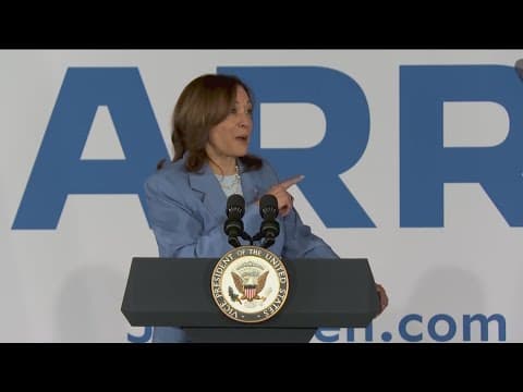 Political analyst shares how Vice President Harris could pick her running mate