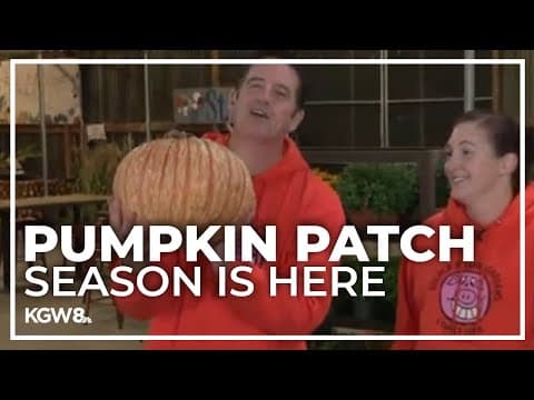 Pumpkin patch season starts at French Prairie Gardens