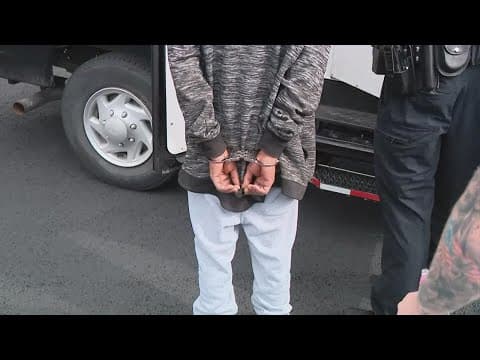 14 arrested, 3 guns seized in Whitehall police operation targeting violent crime