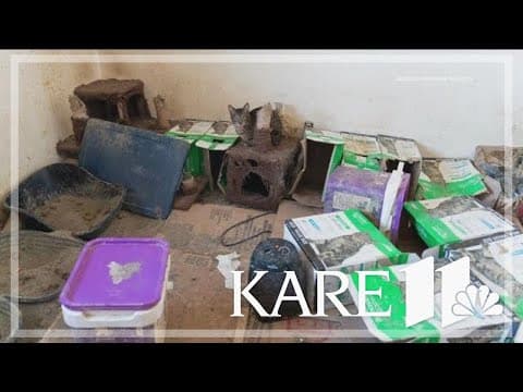 Woman charged after police pull 124 cats from home in Crystal