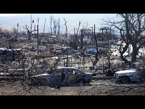 Hawaii wildfires: FEMA and state officials tour fire damage in Maui