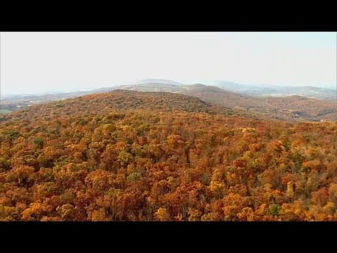 Sky9: Fall Foliage In The DMV
