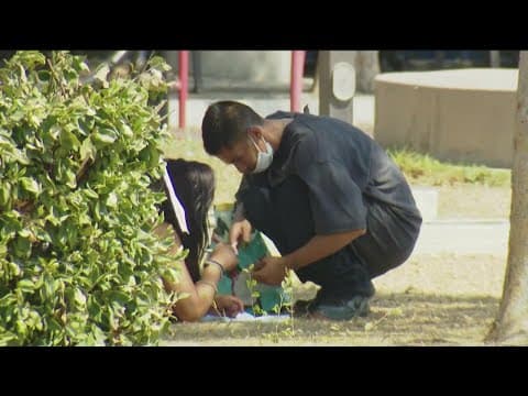 Advocates upset with homeless sweep at Harborside park, parents uneased with location