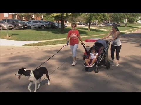 Here's how you can stay safe in the summer heat