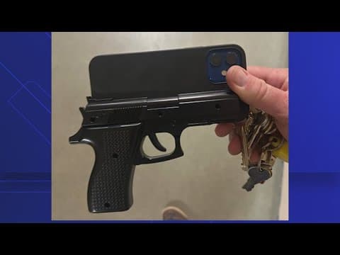 Student's gun-shaped phone case sends Tampa high school into brief lockout, police say