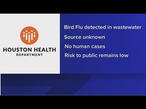 Bird flu found in City of Houston wastewater