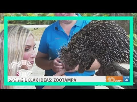 Enjoy a spring break staycation at ZooTampa