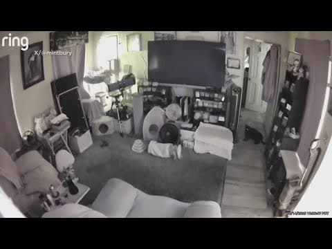 5.2 magnitude earthquake near San Diego