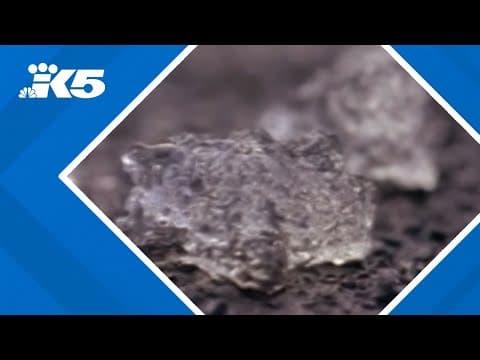 ‘Oakville Blob’ a mystery 30 years later