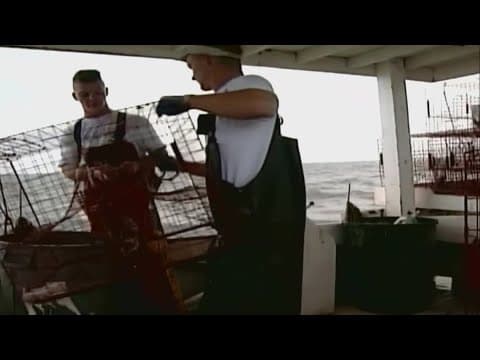 Why are Virginia and Maryland arguing about crabs?