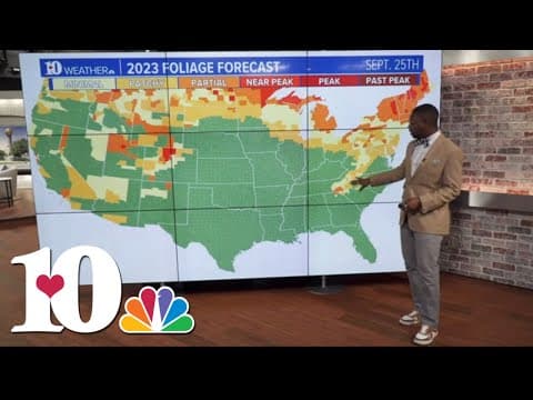 Weather Wednesday: Why do the leaves change colors?