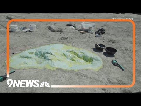 Dinosaur footprints found in U.K. being called the most significant of the century