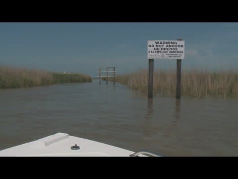 Coast Guard federalizes response to Plaquemines Parish oil spill