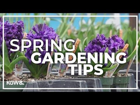 Frost dates and spring outdoor planting tips for Portland metro area