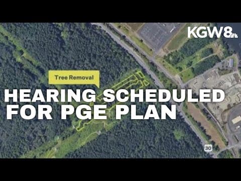 City of Portland recommends rejecting PGE proposal to fell trees in Forest Park