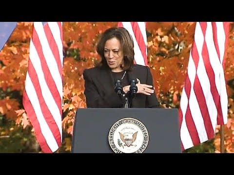 Kamala Harris call small business owners part of the backbone of America at Michigan rally