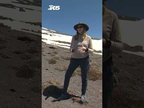 Scientists testing moon robots at Mt. Hood