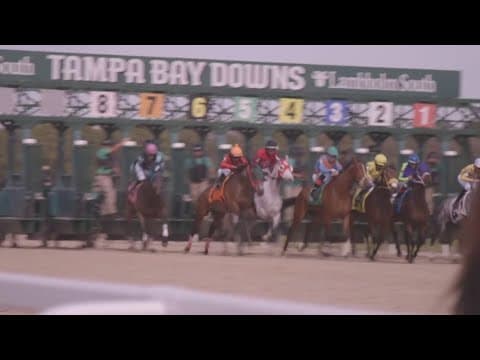 Florida bill could end live horse racing at Tampa Bay Downs and Gulfstream Park
