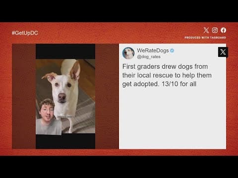 Art project done by DC students get viral recognition | Get Uplifted