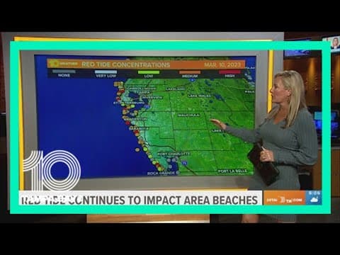 Red tide: How the toxin could impact spring break plans