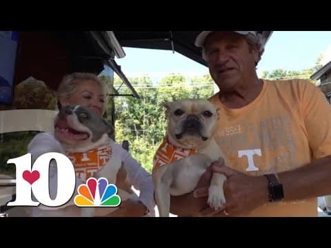 Vol Navy prepares for the UT vs. South Carolina game