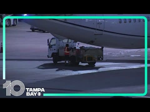 2 bodies are found in the landing gear of JetBlue plane at Florida airport