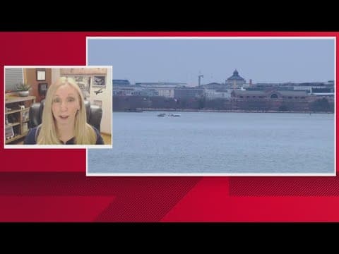 DC plane crash | Expert says commercial, military pilots may not have been able to hear each other