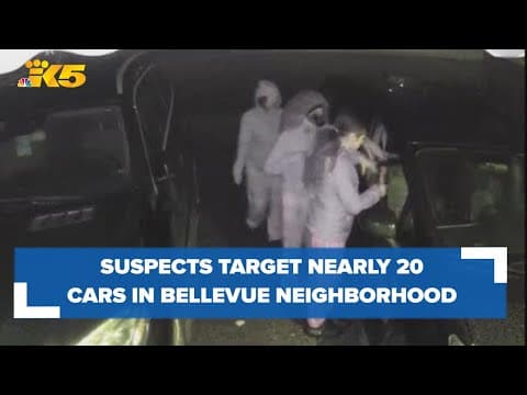Bellevue's Lake Hills neighborhood residents on high alert after rash of car prowls