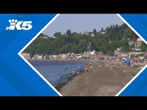 Crowds pack Alki Beach in first major test of new safety measures