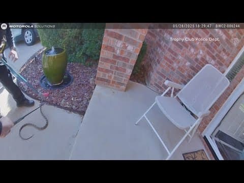 Officers in North Texas capture a snake from a resident's porch