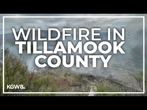 Wildfire in Tillamook County contained over the weekend