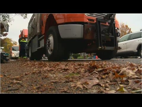 DC leaf collection now underway