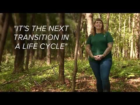 Memorial forests help families and friends connect with nature while laying their loved ones to rest