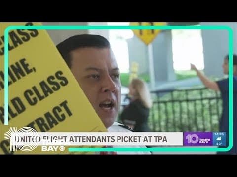United Airlines flight attendants protest at TPA