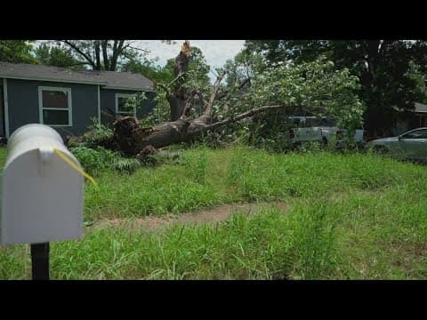 Bonham residents feel 'very lucky' storm damage wasn't worse