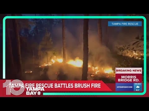 Tampa Fire Rescue battles brush fire
