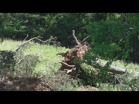 NWS says tornado could have touched down in Oliver Springs Tuesday night