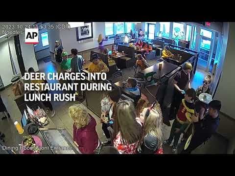 Deer charges through crowded Wisconsin restaurant