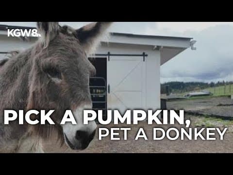 Pick a pumpkin, pet a donkey in Oregon City